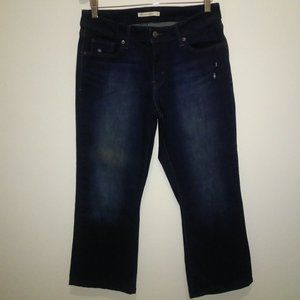 Levis 529 Curvy Bootcut Jeans, size 32